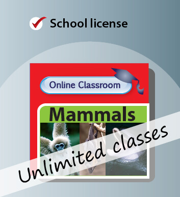 Online Classroom School Licence