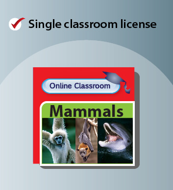 Single Licence Online Classroom