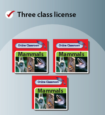 Online Classroom 3 class licence
